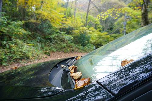 落ち葉が溜まる日影沢の駐車場