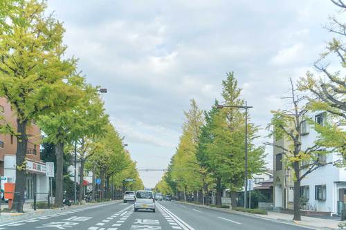 2018年11月3日(土)　帰り道の高尾駅付近