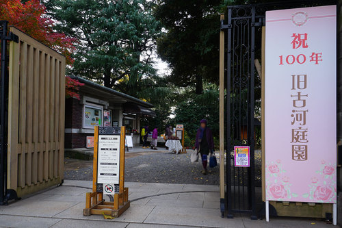 2018年12月9日 紅葉の旧古河庭園