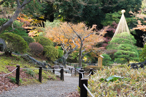 2018年12月9日 紅葉の旧古河庭園_5