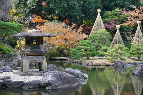 2018年12月9日 紅葉の旧古河庭園_7