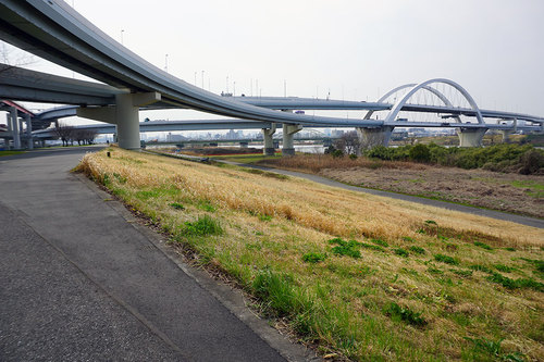 荒川サイクリングロード1