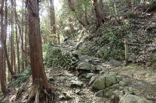 高尾山稲荷山コース-山道の様子