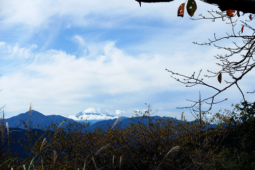 高尾山もみじ台付近の桜の名所から富士山を望む