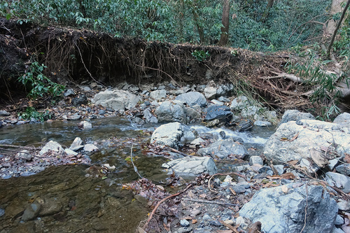 日影林道から城山東尾根道の渡渉ポイントは下流側