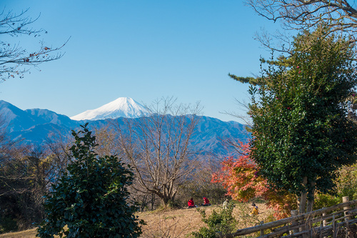 城山から富士山を望む