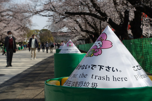 上野公園2020年3月22日の桜　その4