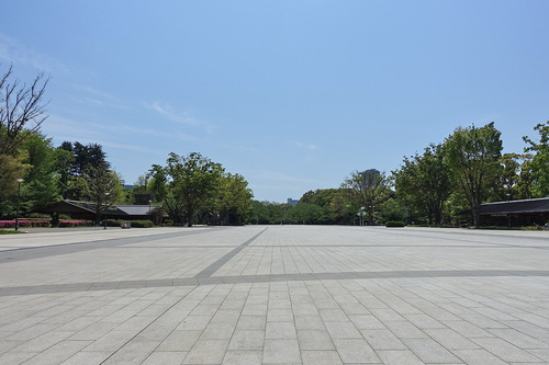 人気のない上野公園