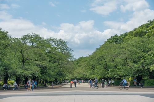 2020年5月24日の上野公園