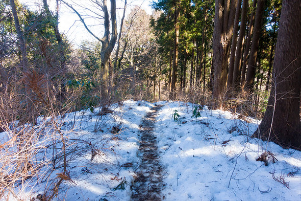 ザリクボ分岐手前の残雪