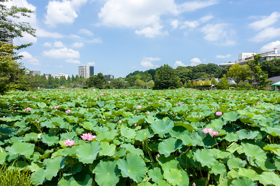 2022年7月23日 鵜の池