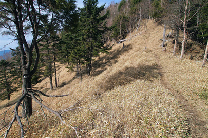 正規の登山道_2