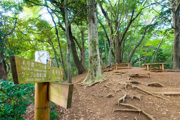 いろはの森 4号路合流地点