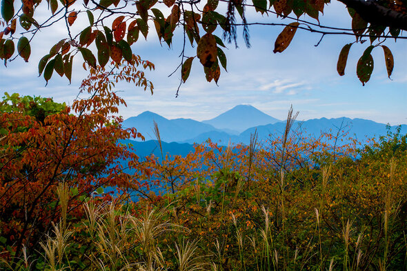 もみじ台から富士山を望む