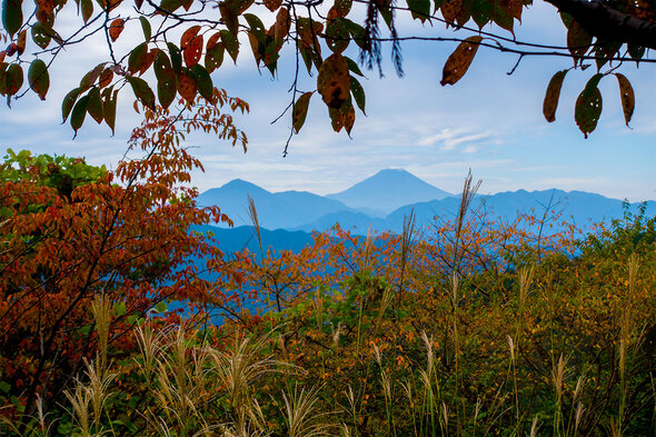 もみじ台から富士山を望む