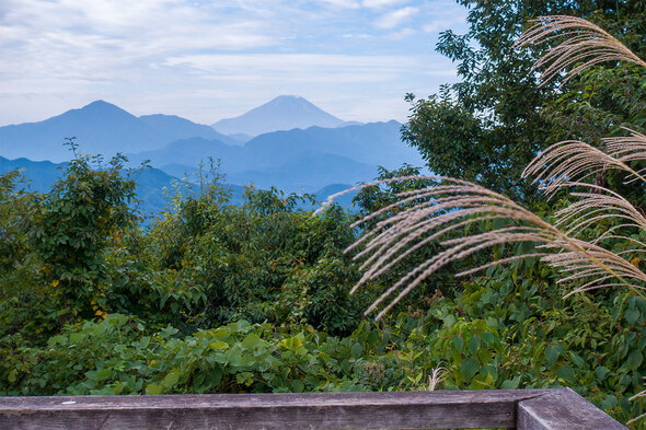 一丁平園地から富士山を望む