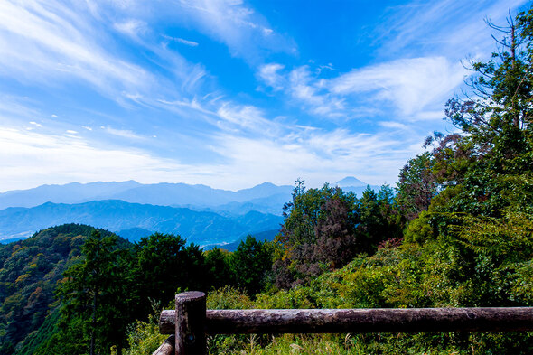 景信山から富士山を望む