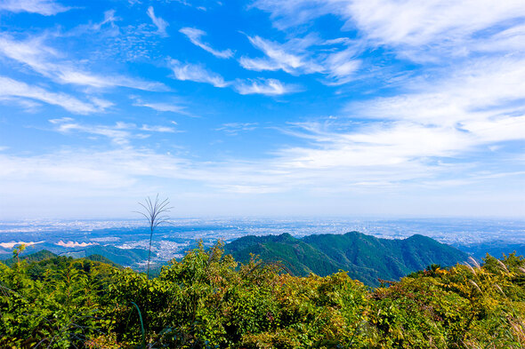 景信山から都心方面の眺望