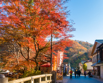 秋の高尾山