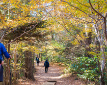 秋の高尾山