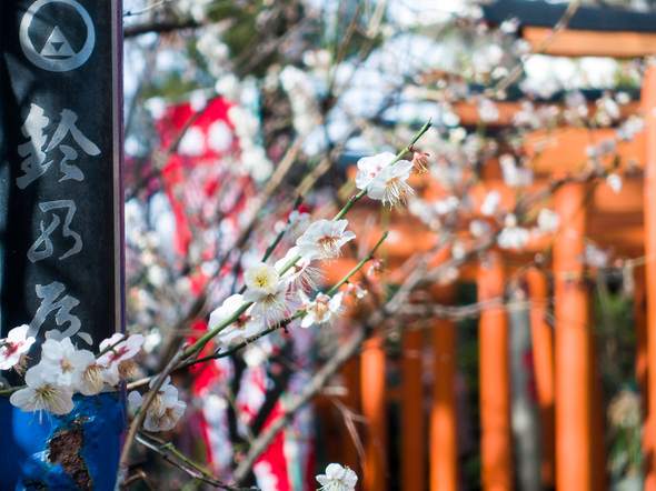 五條天神社 2024年2月17日