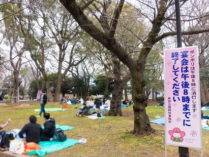 上野公園 宴会の様子 2024年3月24日