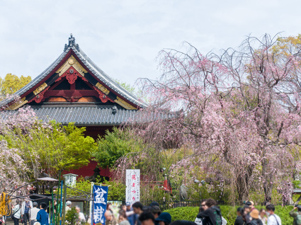 清水観音堂  2024年4月7日