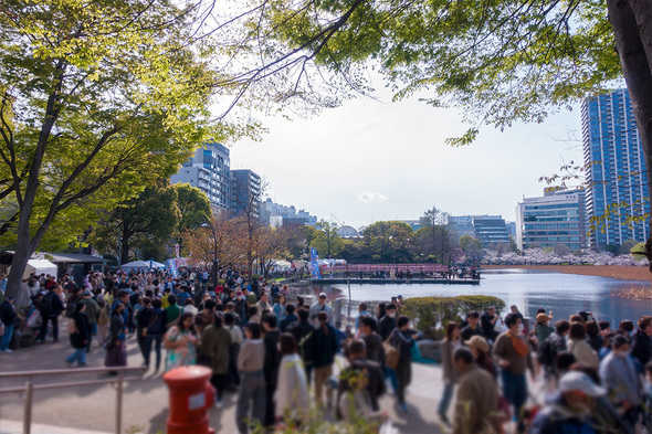 2025年4月5日 上野公園不忍池の様子