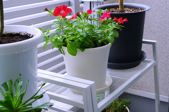 ベランダで花台として使用するイケア レールベリ