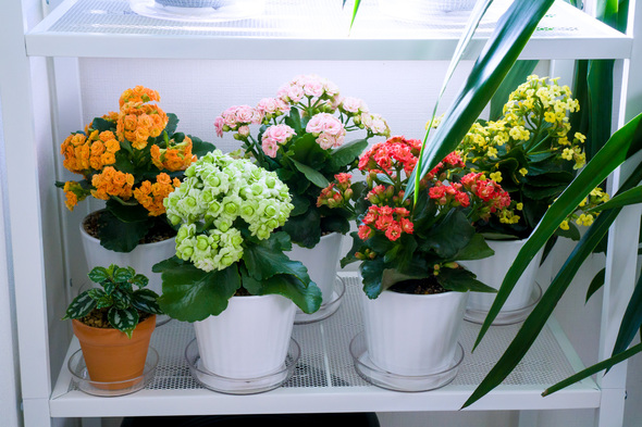 室内で花台として使用するイケア レールベリ