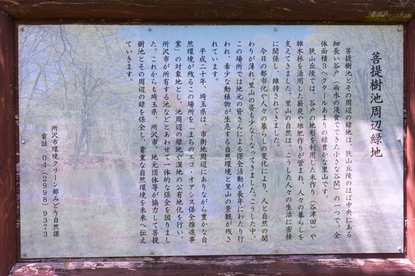 菩提樹池周辺緑地の案内板