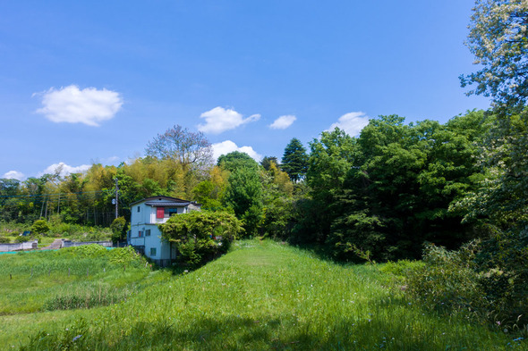 通路から現れるのどかな風景