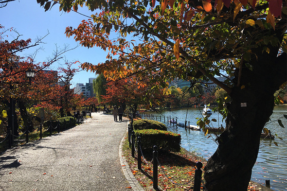 2025年秋 不忍池の遊歩道