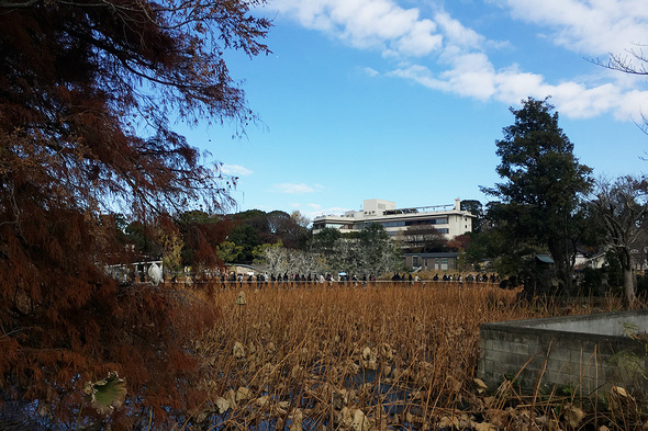 2025年冬 上野動物園 パンダの見納めに並ぶ長蛇の列