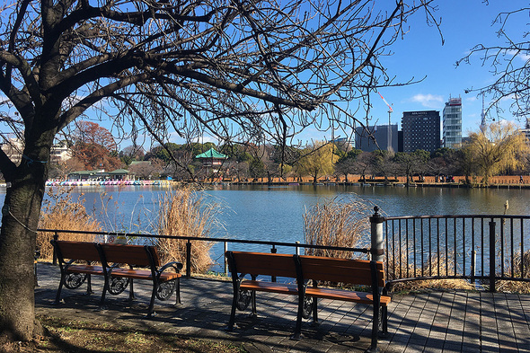 2025年秋 ボート池とベンチ