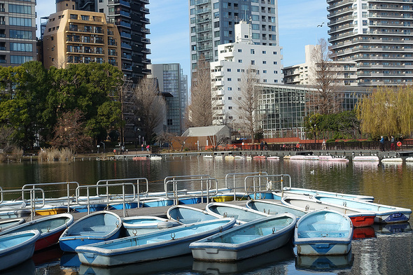 上野公園不忍池(ボート池)に完成したジェンダーレストイレ(遠景)