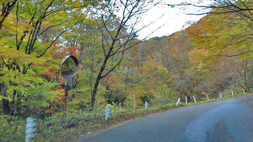 日光の紅葉