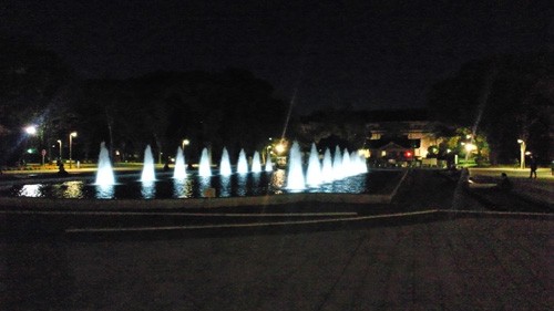 上野公園の夜の大噴水