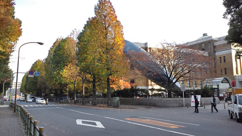 11月25日、上野公園