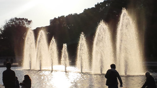 晩秋の上野公園