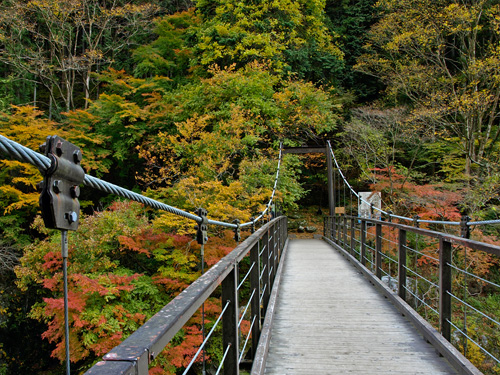 鳩ノ巣小橋(吊り橋)