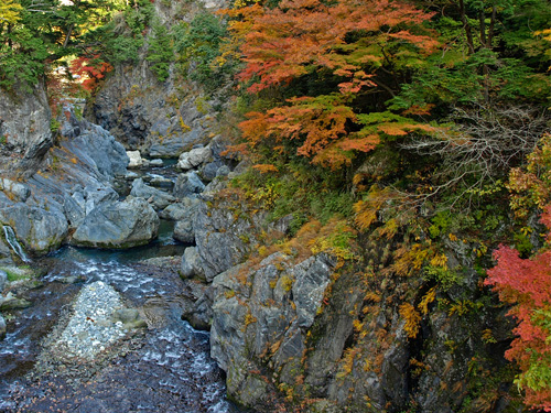 鳩ノ巣渓谷の紅葉風景