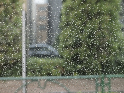 雨の築地周辺