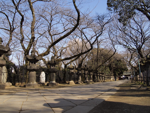 上野東照宮参道